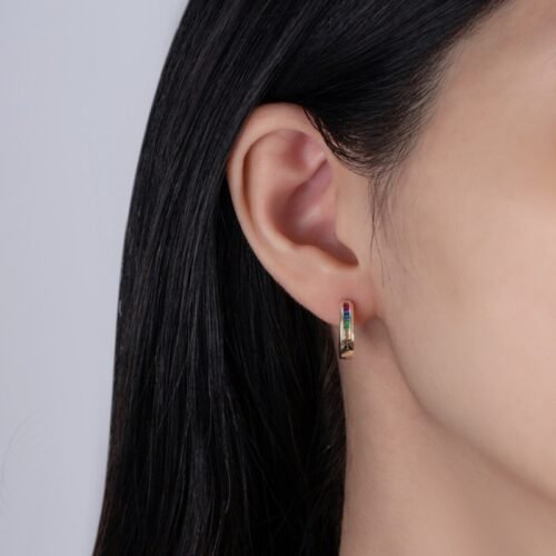 Channel Set Rainbow Cubic Zirconia Hoop Earrings