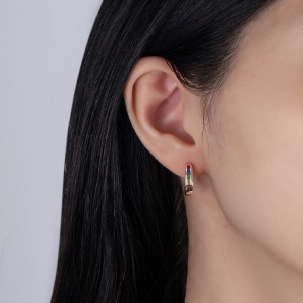 Channel Set Rainbow Cubic Zirconia Hoop Earrings