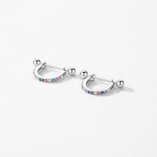 Classic Round Rainbow Cubic Zirconia Hoop Earrings