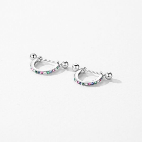 Classic Round Rainbow Cubic Zirconia Hoop Earrings