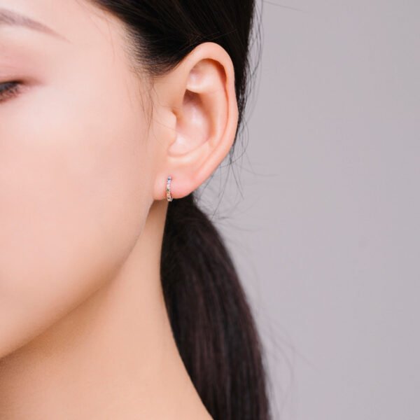 Compact Round Rainbow Cubic Zirconia Hoop Earrings