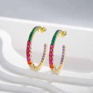 Elegance Round Rainbow Cubic Zirconia Drop Earrings